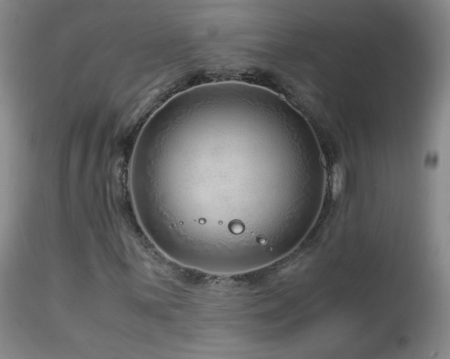 X0000112881059200908211445