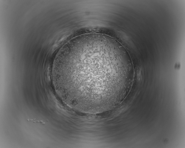 X0000112881060200908211445