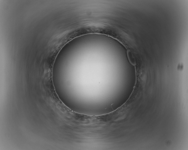 X0000112881061200908211445