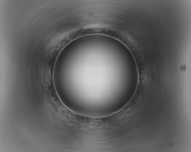 X0000112881062200908211445