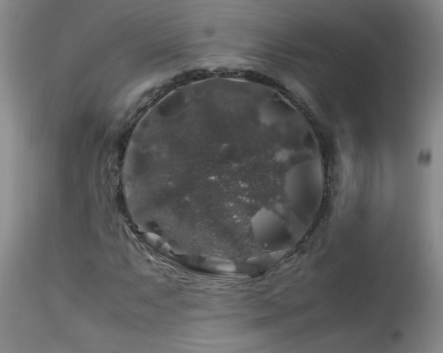 X0000112881063200908211445