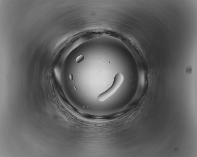 X0000112881064200908211445