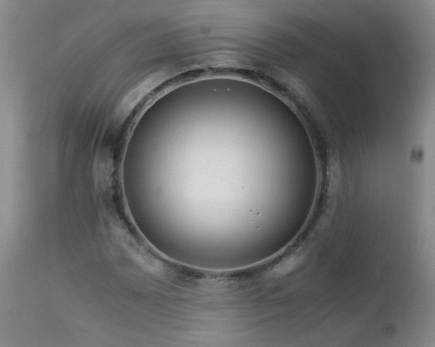 X0000112881065200908211445