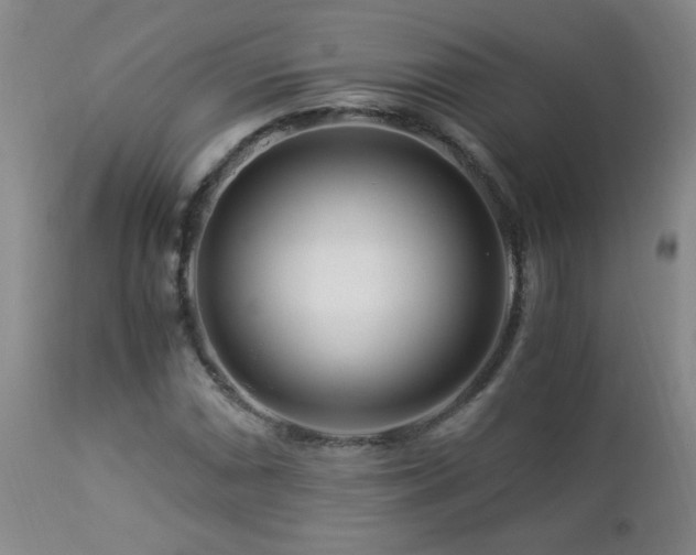 X0000112881066200908211445