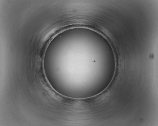 X0000112881067200908211445