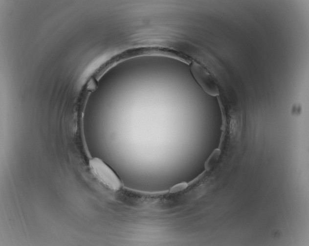 X0000112881069200908211445