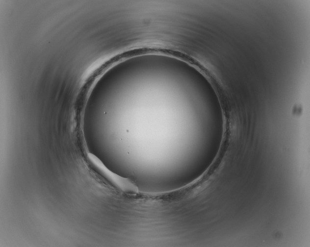 X0000112881070200908211445