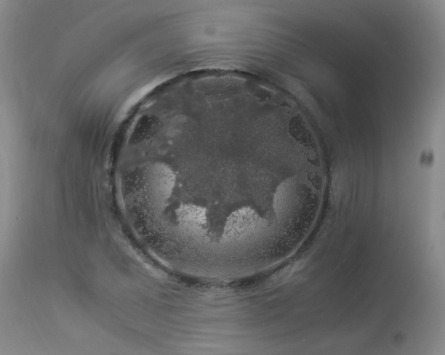 X0000112881071200908211445