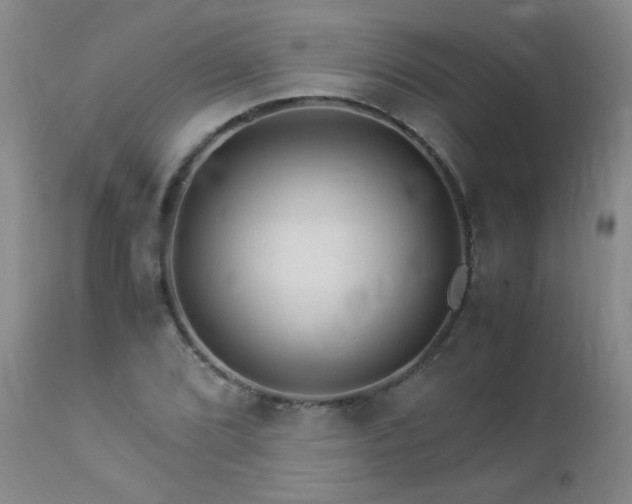 X0000112881072200908211445