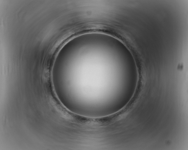 X0000112881073200908211445