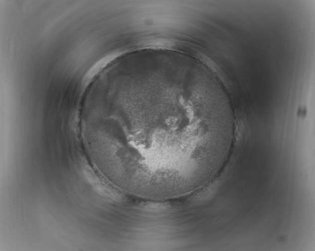 X0000112881074200908211445