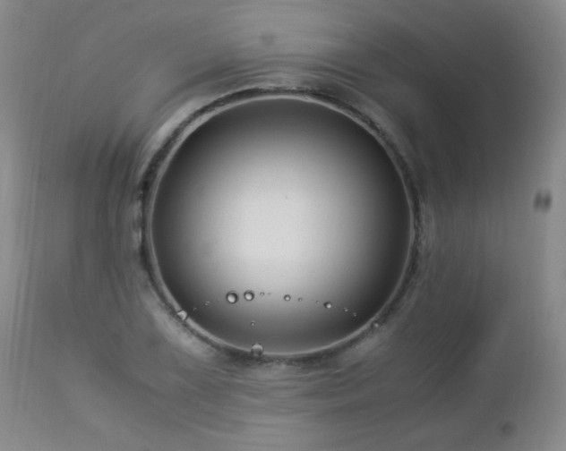 X0000112881075200908211445