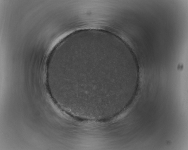 X0000112881077200908211445