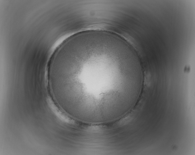 X0000112881078200908211445