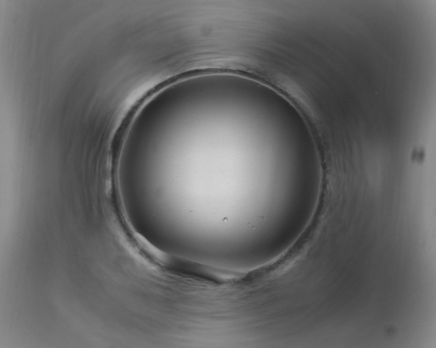 X0000112881079200908211445