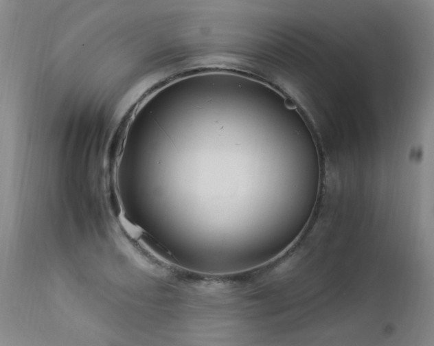 X0000112881082200908211445