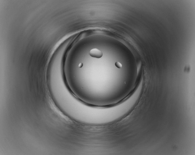 X0000112881084200908211445