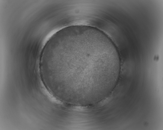 X0000112881086200908211445