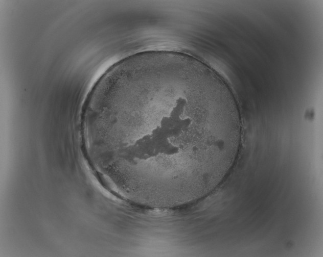 X0000112881087200908211445