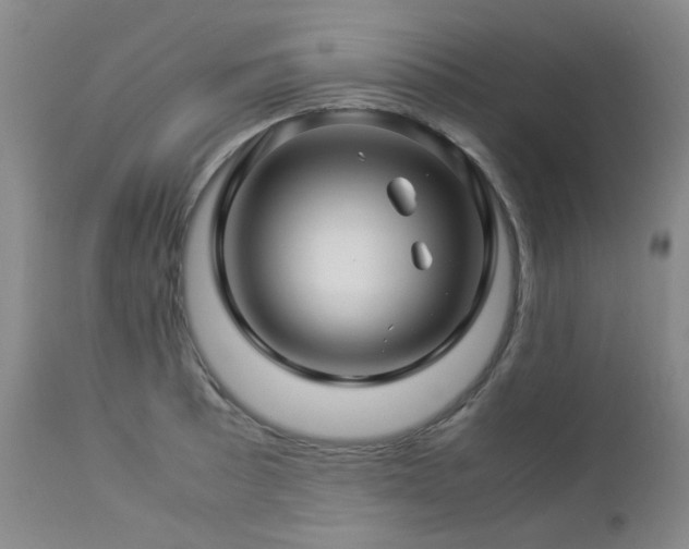 X0000112881089200908211445