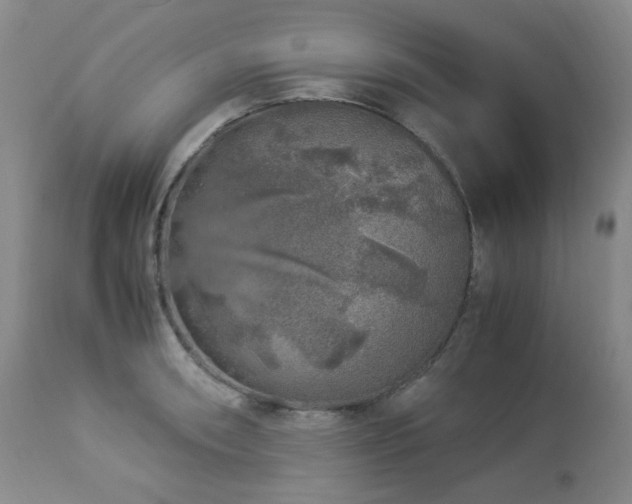 X0000112881090200908211445