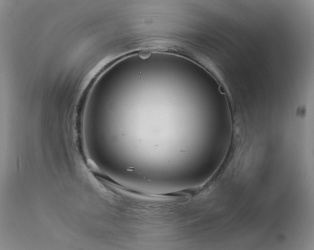 X0000112881091200908211445