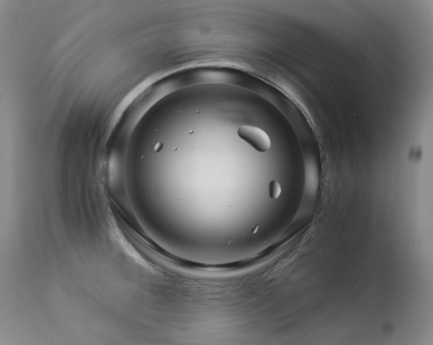 X0000112881092200908211445