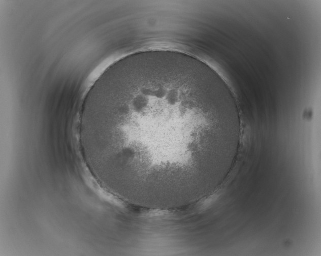 X0000112881094200908211444