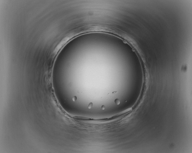 X0000112881097200908211444