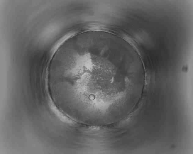 X0000112881098200908211444