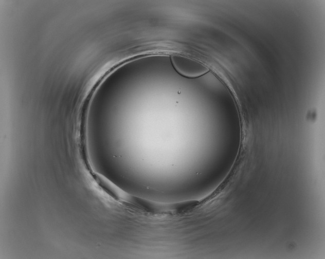 X0000112881099200908211444