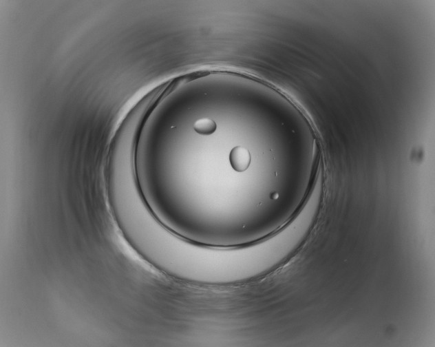 X0000112881100200908211444