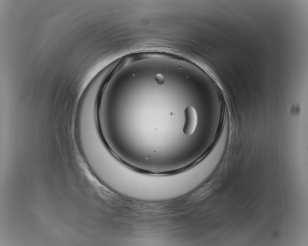 X0000112881101200908211444