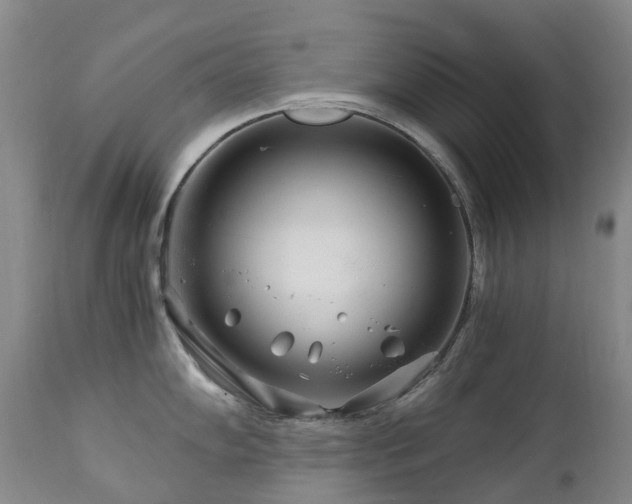 X0000112881102200908211444