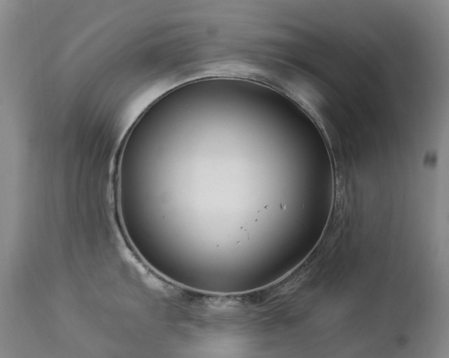 X0000112881103200908211444