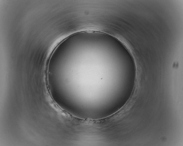 X0000112881104200908211444