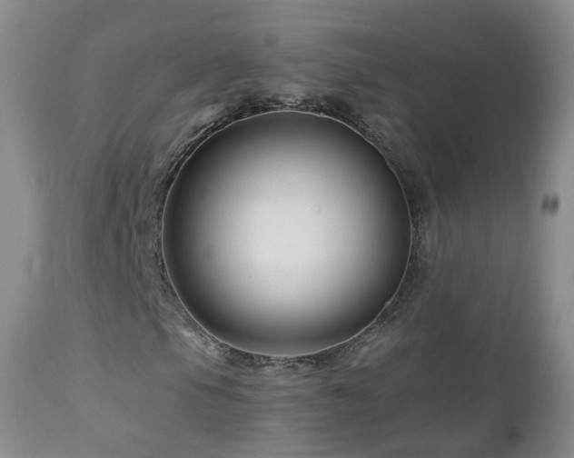 X0000112881105200908211444