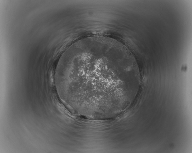 X0000112881106200908211444