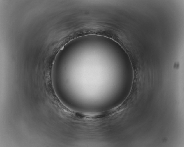 X0000112881109200908211444