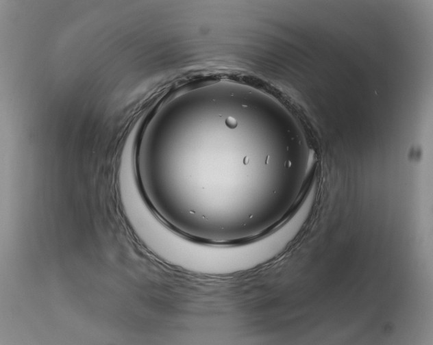 X0000112881110200908211444