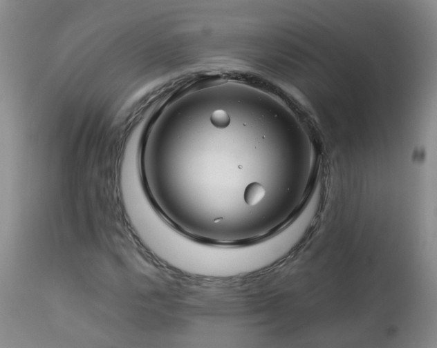 X0000112881112200908211444