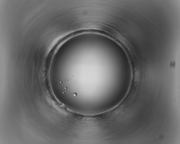 X0000112881116200908211444