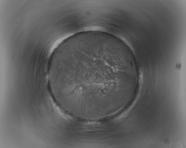 X0000112881117200908211444