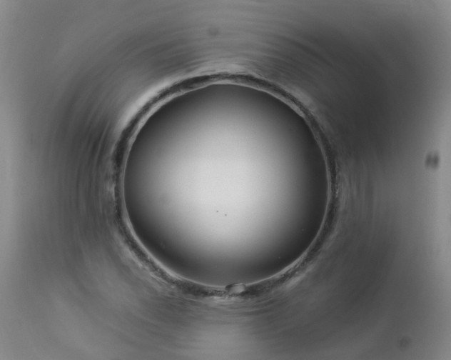 X0000112881118200908211444