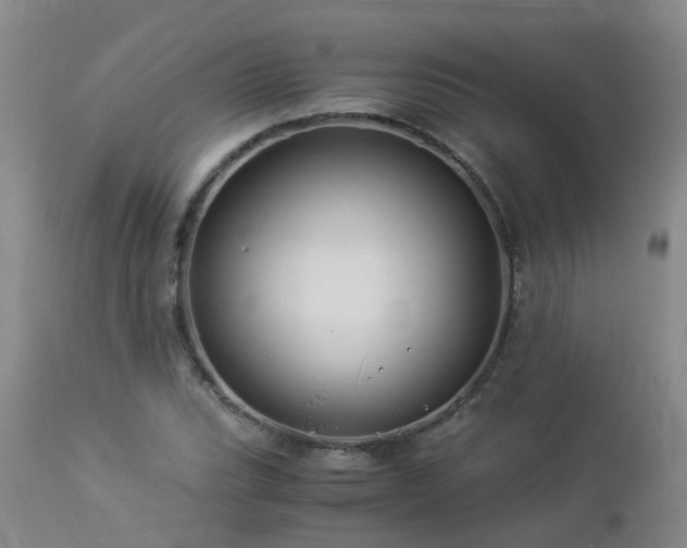 X0000112881119200908211444