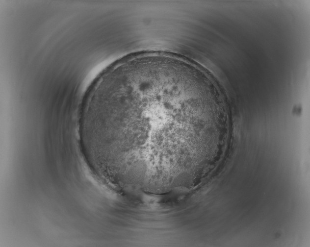 X0000112881120200908211444