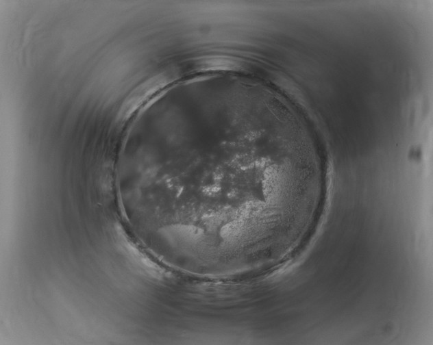 X0000112881121200908211444