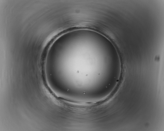 X0000112881122200908211444