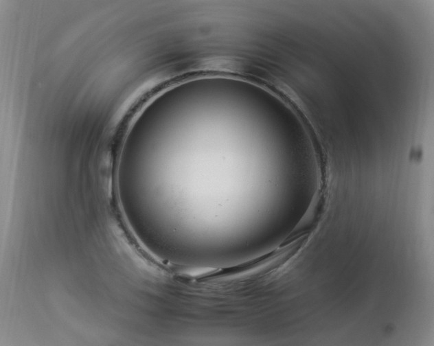 X0000112881123200908211444