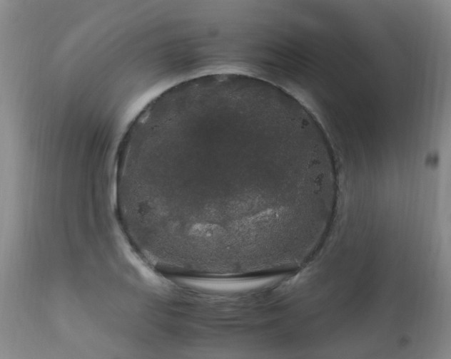 X0000112881127200908211444